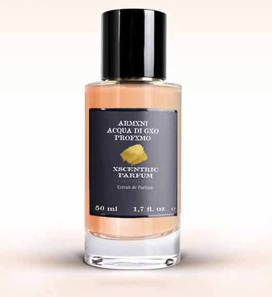 ARMXNI ACQUA DI GXO PROFXMO - XSCENTRIC PARFUM®